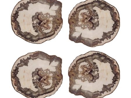 Petrified Wood Coasters, Set of 4 Sale