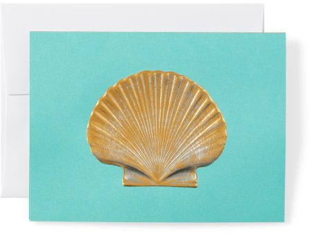 Scallop Shell Note Cards, Set of 8 Online Sale