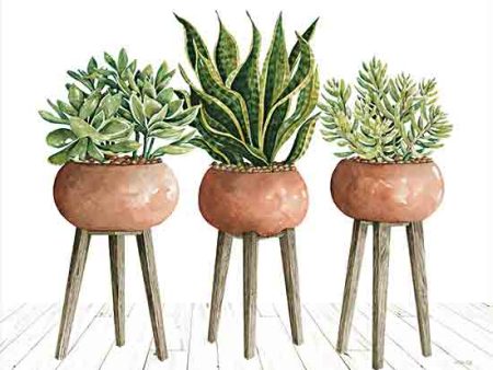 CIN3164 - Clay Pot Trio of Plants - 16x12 Online now