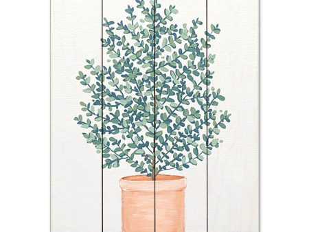 BAKE191PAL - Eucalyptus - 12x16 Hot on Sale