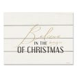 BRO229PAL - Believe in the Magic of Christmas - 16x12 Hot on Sale