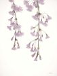 LD2828 - Weeping Cherry on White I - 12x18 Online